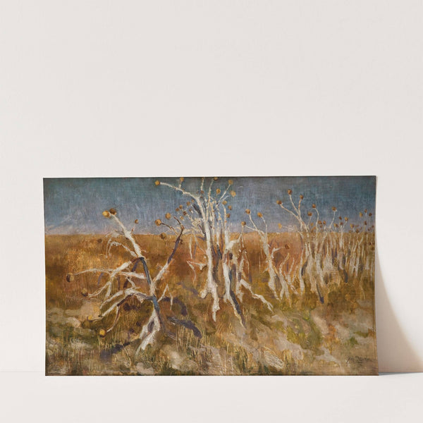 Musk Thistles (1904) by Kazimierz Sichulski