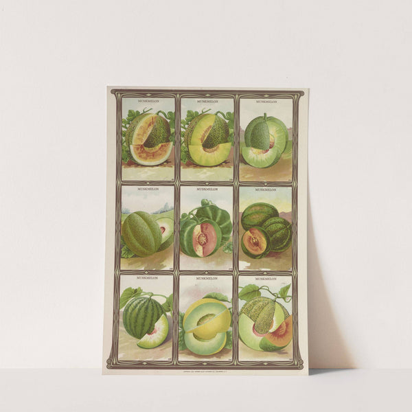 Muskmelon (1921) by Genesee Valley Lithograph Co.