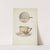 Mustache Cup and Saucer by Dana Bartlett
