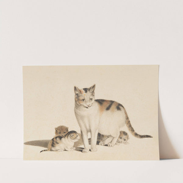 Mutterkatze und drei Junge by Gottfried Mind