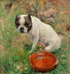 My Dog