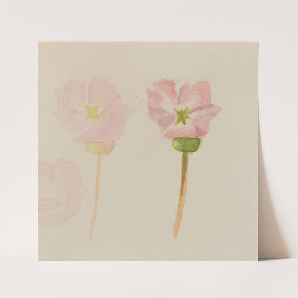 My First Painting (ca. 1868) by Mary Vaux Walcott