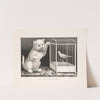My kitty and canary (1871) by Currier & Ives.
