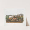 Myodes Hudsonius, Hudson Bay Lemming. Natural size. (1845-1848) by John Woodhouse Audubon
