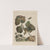 Naauwkeurige waarneemingen omtrent de veranderingen van veele insekten of gekorvene diertjes Pl.14 by Jacob L'Admiral