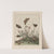 Naauwkeurige waarneemingen omtrent de veranderingen van veele insekten of gekorvene diertjes Pl.31 by Jacob L'Admiral