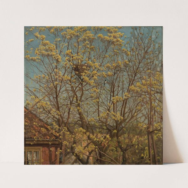 Naboer. Motiv fra ateliervinduet, Majorstuveien 8 by Amaldus Nielsen