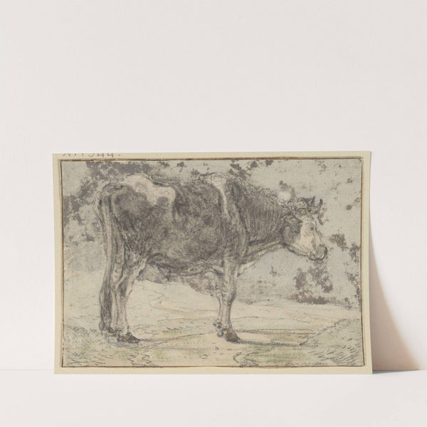 Nach rechts stehender Ochse, schwarz und weiß gefleckt by Aelbert Cuyp