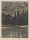 Nachtelijk landschap met trekvogels