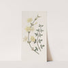 Naked-flowered Jasmine by Sydenham Edwards