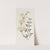 Naked-flowered Jasmine by Sydenham Edwards