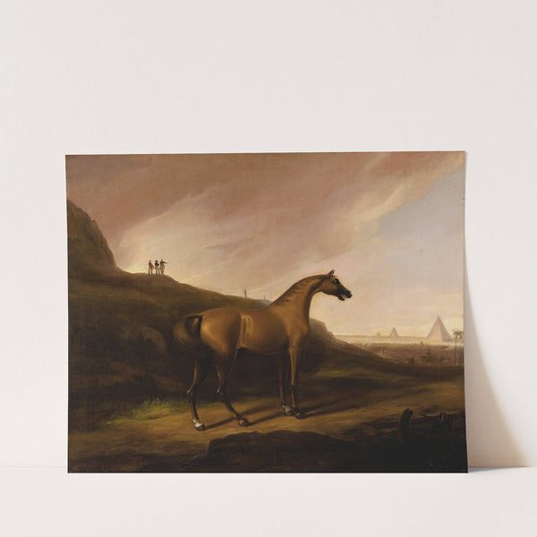 Napoleon's Horse by Alvan Fisher