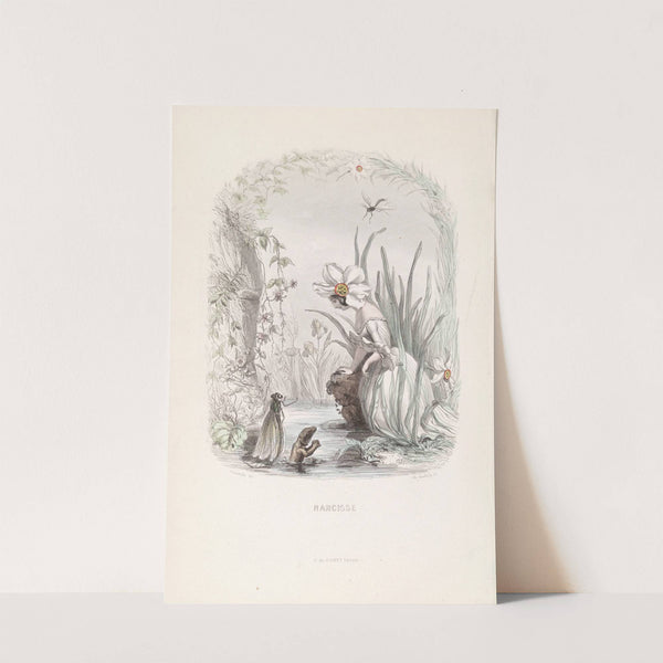 Narcisse by J. J. Grandville