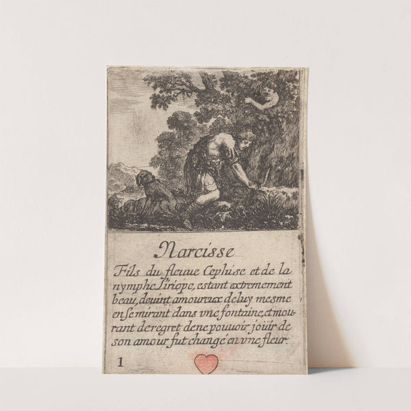 Narcisse by Stefano Della Bella