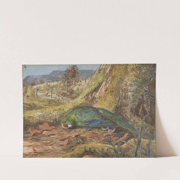 Native parrot in a moss and bush setting (1885) by Margaret Stoddart