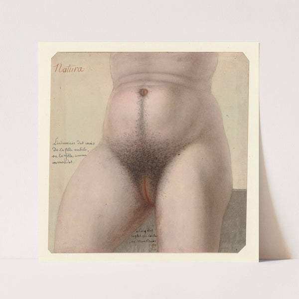 Natura by Jean Jacques Lequeu