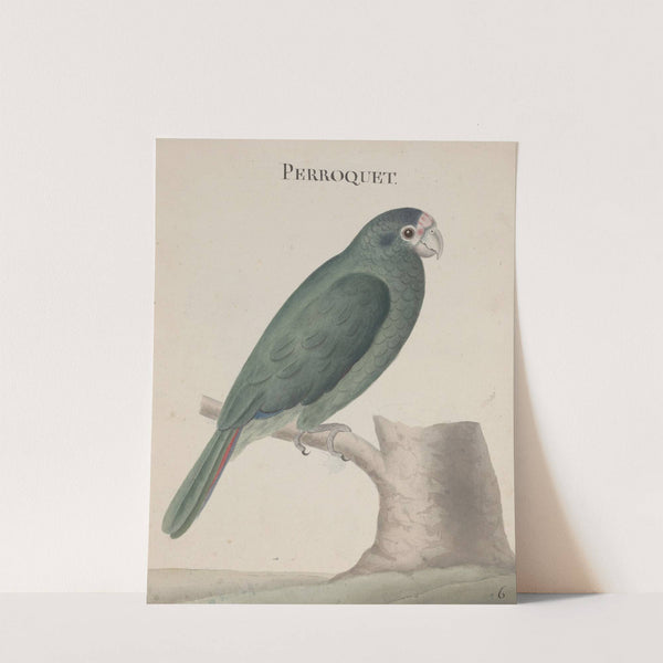 Natural history of Saint Domingue Pl.006 by René de Rabié