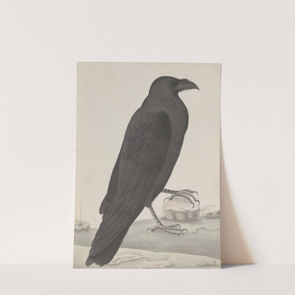 Natural history of Saint Domingue Pl.015 by René de Rabié