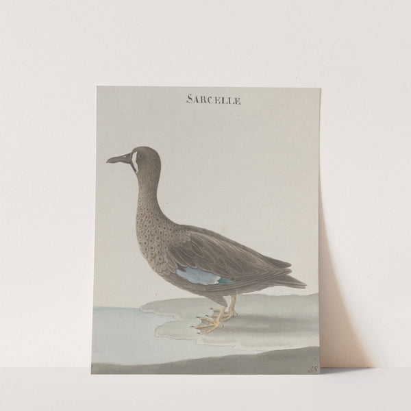 Natural history of Saint Domingue Pl.033 by René de Rabié