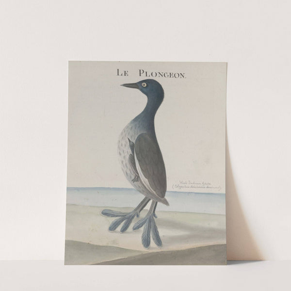 Natural history of Saint Domingue Pl.035 by René de Rabié