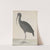 Natural history of Saint Domingue Pl.048 by René de Rabié