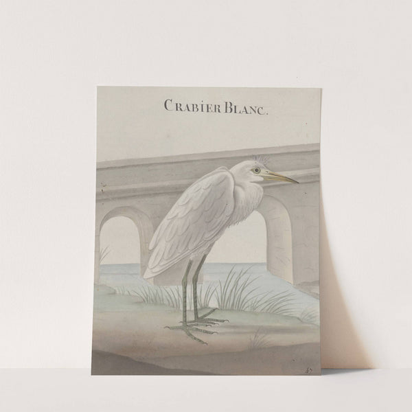 Natural history of Saint Domingue Pl.054 by René de Rabié