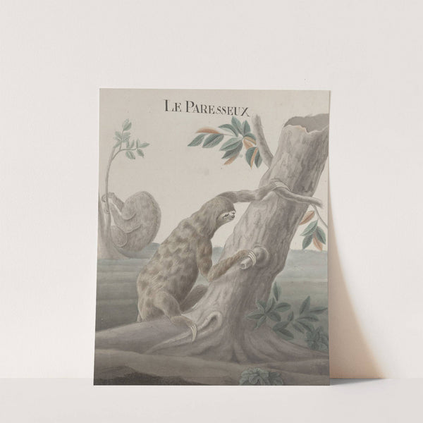 Natural history of Saint Domingue Pl.059 by René de Rabié