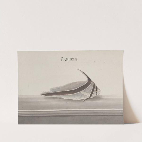 Natural history of Saint Domingue Pl.098 by René de Rabié