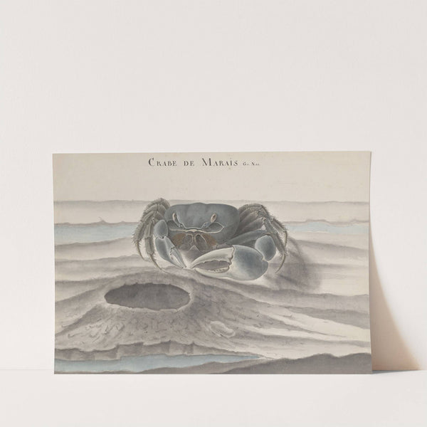 Natural history of Saint Domingue Pl.120 by René de Rabié