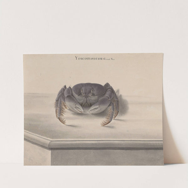 Natural history of Saint Domingue Pl.123 (1766) by René de Rabié