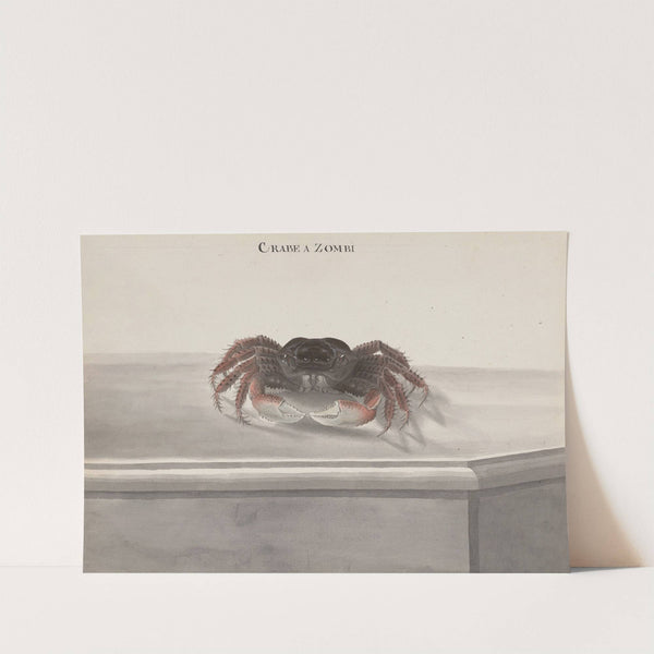 Natural history of Saint Domingue Pl.130 (1766) by René de Rabié