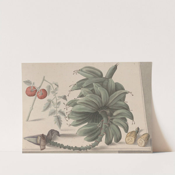 Natural history of Saint Domingue Pl.138 by René de Rabié