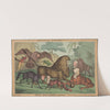 Natural history. Royal Zoological Garden – Pl 1st. (1829) by William Heath