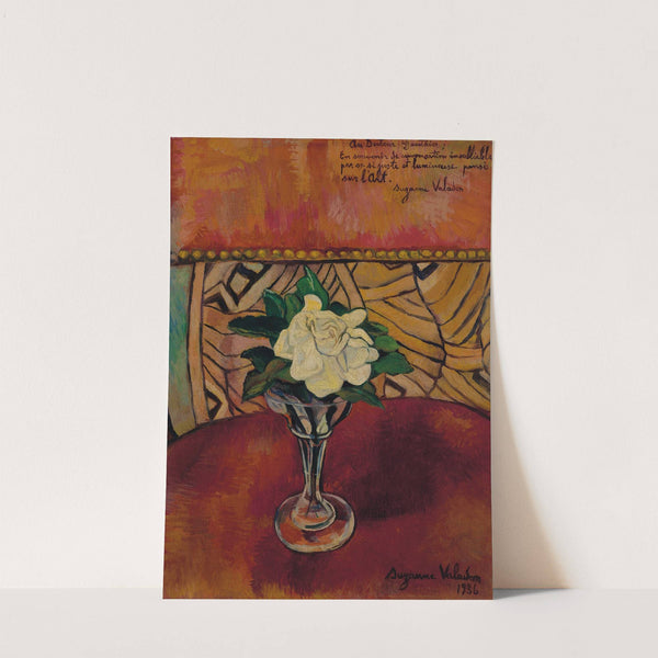 Nature morte à la rose blanche by Suzanne Valadon