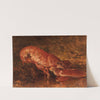 Nature Morte Au Homard by Félix Ziem
