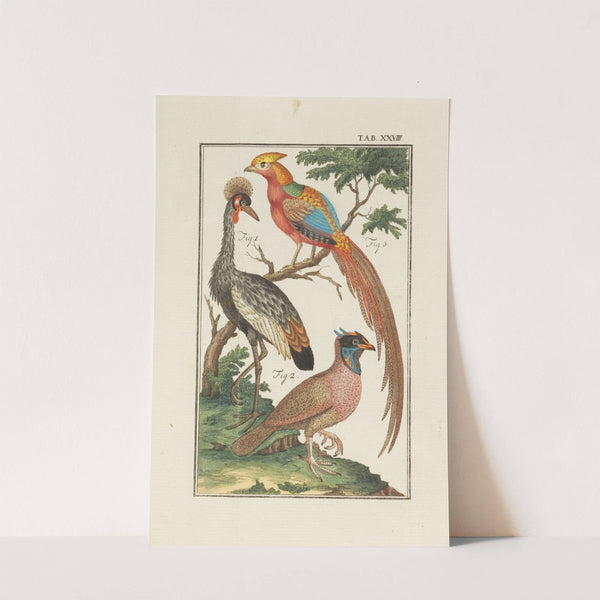 Naturlehre by Johann Jacob Ebert