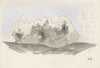 Naturstudie XXIII