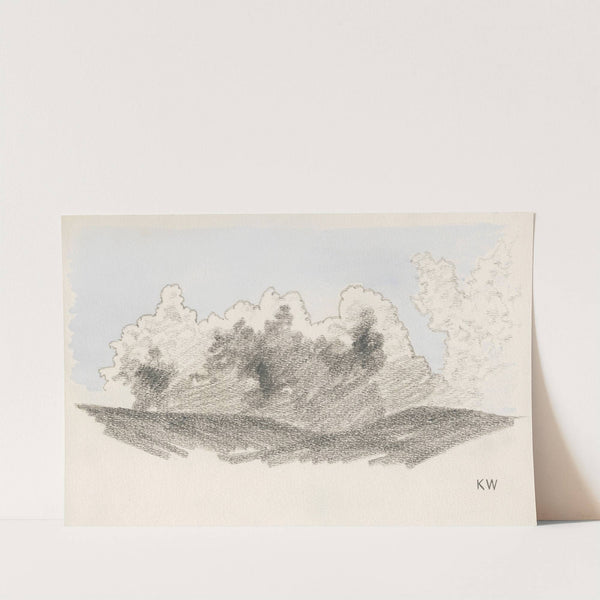 Naturstudie XXIII by Karl Wiener