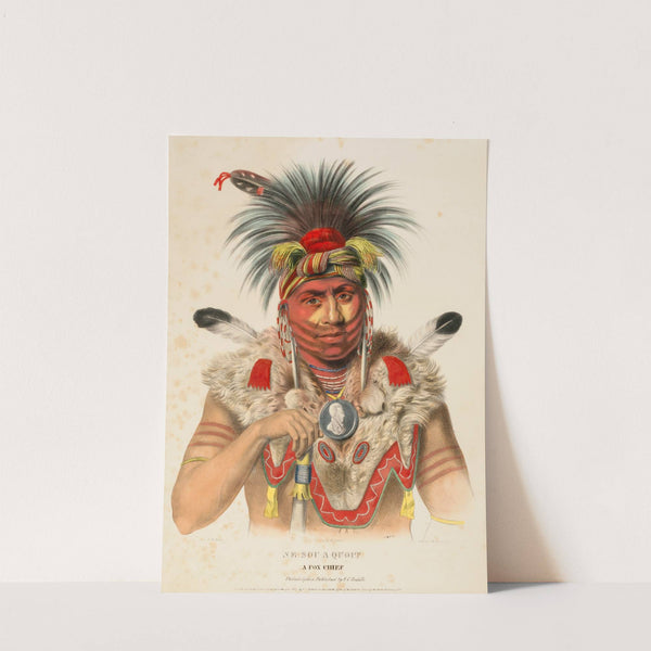 Ne-Sou-A-Quoit. A Fox Chief (ca. 1837-1844) by Charles Bird King