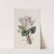 Neapolitan Cyclamen by Sydenham Edwards