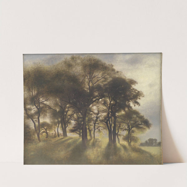 Near Fortunen, Jægersborg Deer Park, North of Copenhagen by Vilhelm Hammershøi