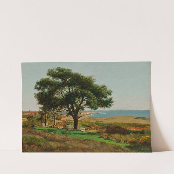 Near Kennebunkport, Maine (1877) by Jervis McEntee