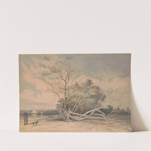 Near Timber Creek, Jersey shore (1859) by James Fuller Queen