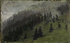 Nebel zwischen Tannen