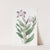 Necklace-Stemmed Dendrobium by Sydenham Edwards