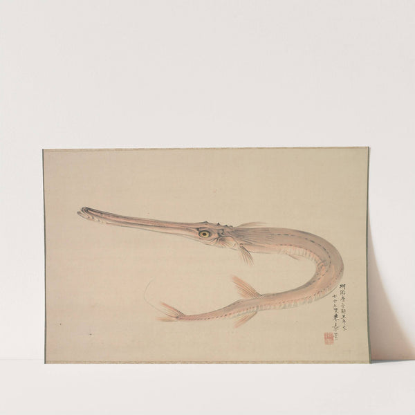 Needlefish (Yagara) by Nakajima Raishō