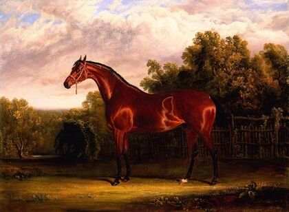 Negotiator, a Bay Horse in a Landscape. — size preview