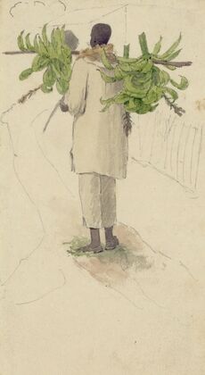 Negro man carrying plantains on pole