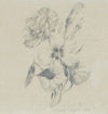 Nelkenblüten und Knospen (1861)