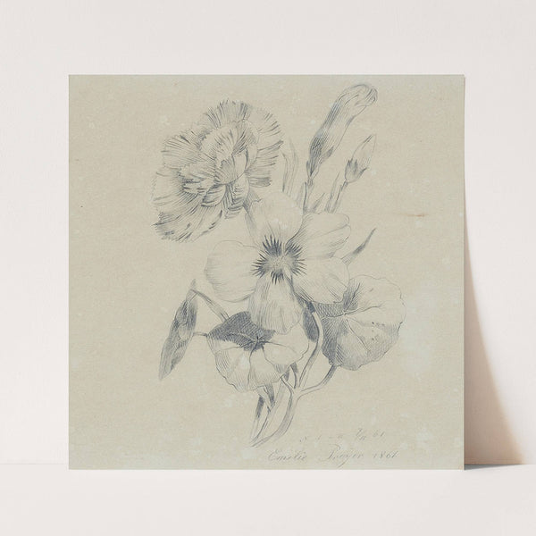 Nelkenblüten und Knospen (1861) by Emilie Preyer